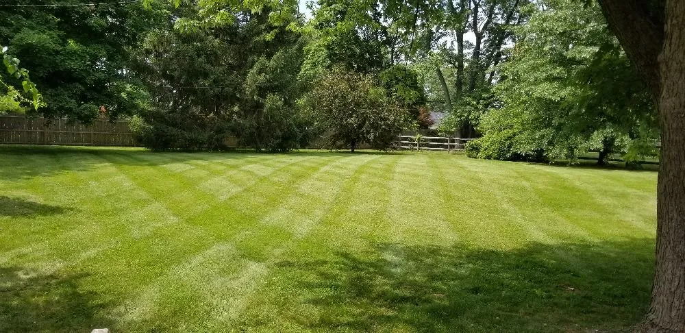 Top-rated landscape installation experts serving Norristown, PA - Quick lawn care services