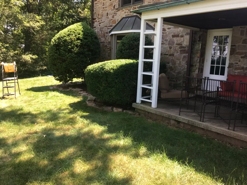 Trusted yard maintenance in Norristown, PA by Quick lawn care services