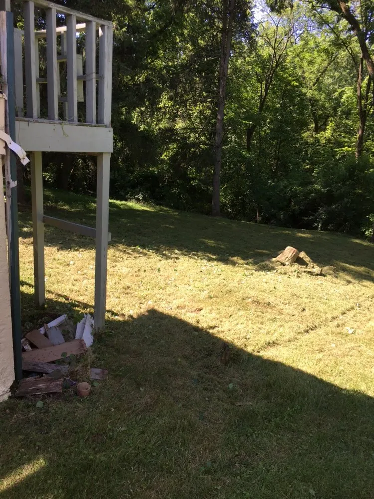 Professional yard cleanup service in Norristown, PA by Quick lawn care services