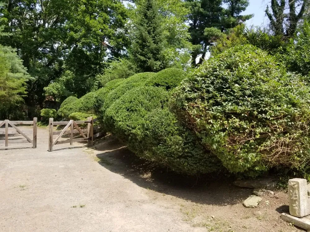 Local residential landscaping in Norristown, PA by Quick lawn care services