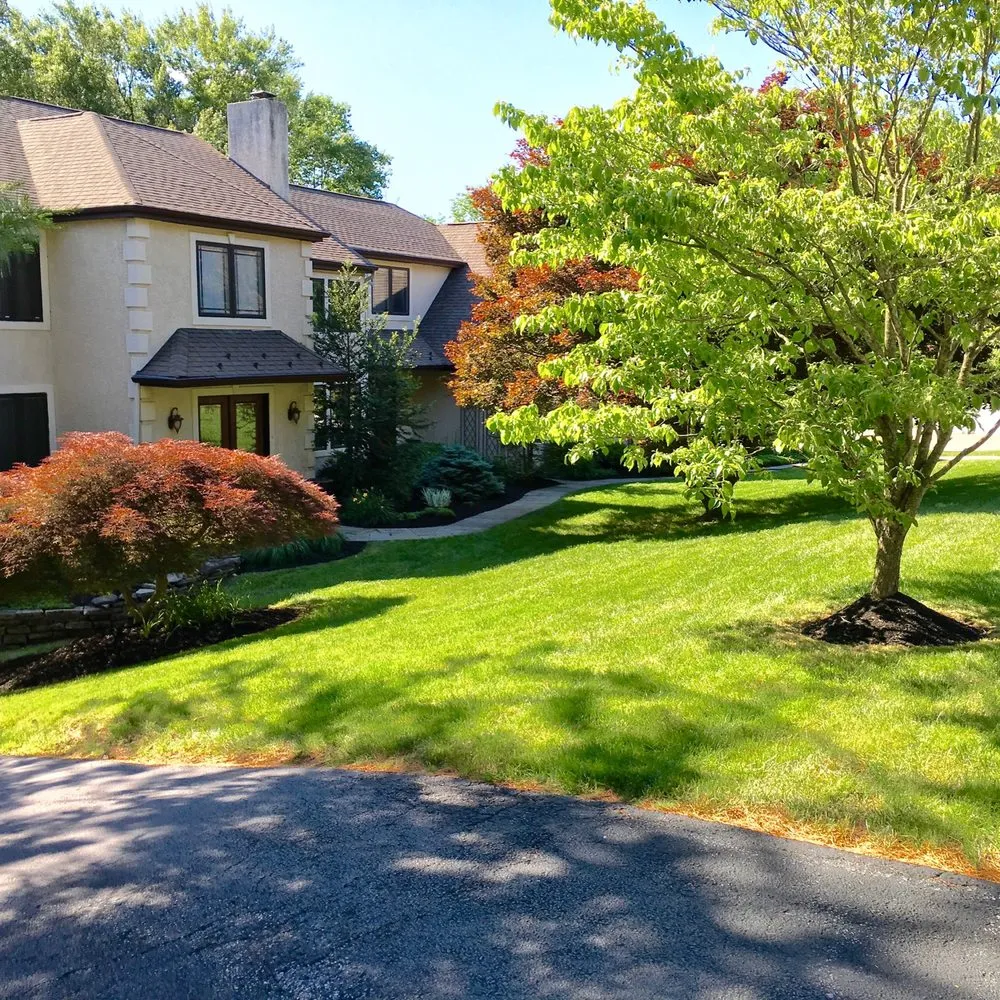 Local yard cleanup service in Norristown, PA by Quick lawn care services