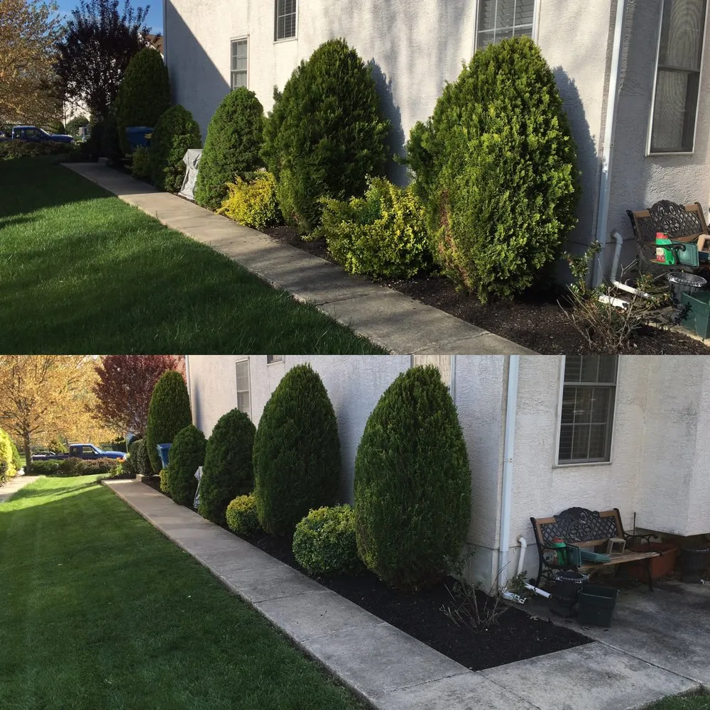 Professional outdoor landscaping in Norristown, PA - Quick lawn care services