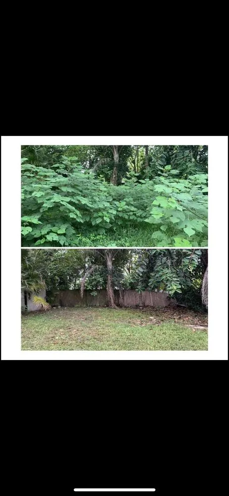 Custom landscape installation in St. Petersburg, FL by Quick Mow Lawn Care and Landscaping