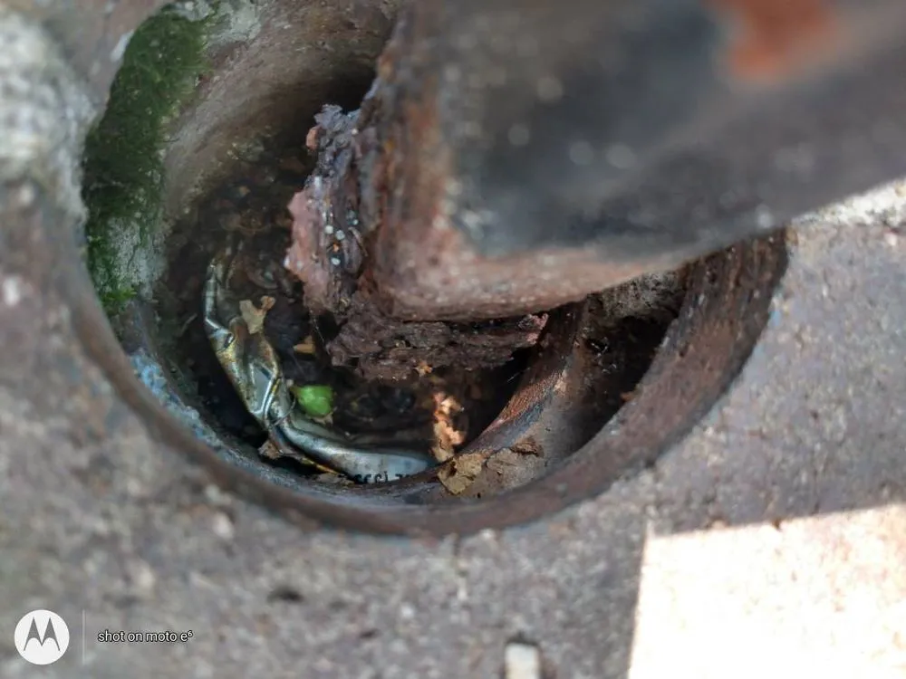 Expert residential landscaping experts serving Atlanta, GA - Quick N Perfect Services