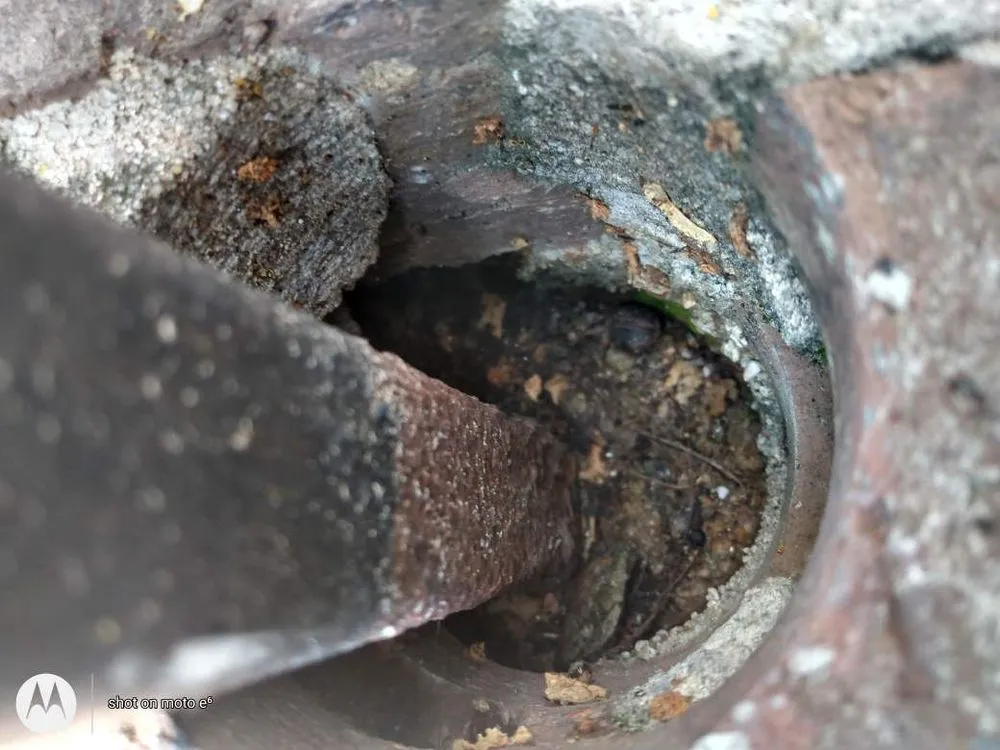 Top-rated lawn care service for outdoor upgrades across Atlanta, GA - Quick N Perfect Services