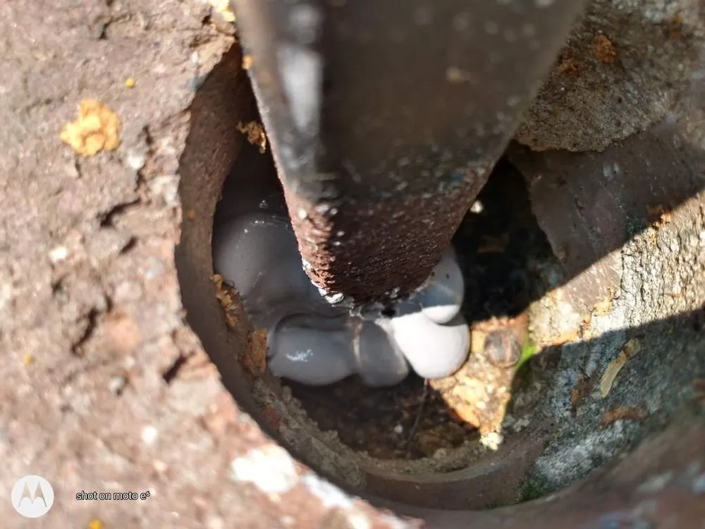 Affordable lawn care service experts serving Atlanta, GA - Quick N Perfect Services