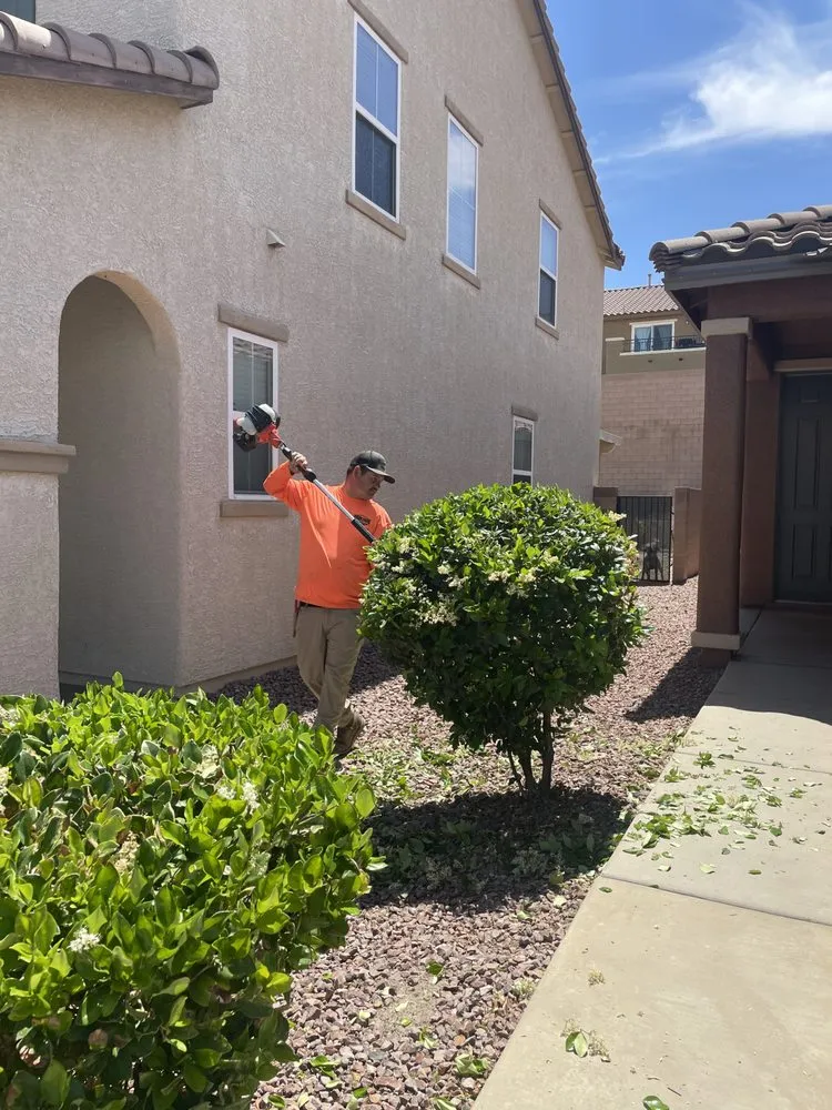 Trusted lawn care service for beautiful yards across Henderson, NV - Quick Pickk