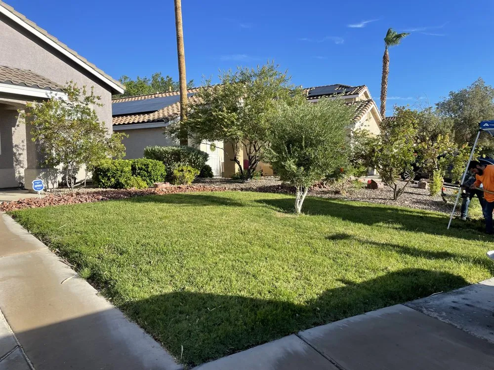 Top-rated garden landscaping for residential properties across Henderson, NV - Quick Pickk