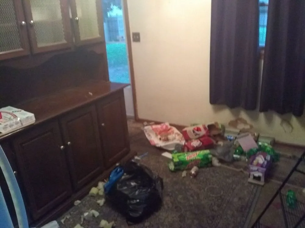 Custom lawn care service in South Bend, IN by Quick Save Variety Balanced LIFE ORG