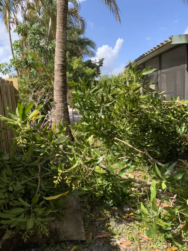 Expert lawn mowing service in Pembroke Pines, FL by Quick Scope Landscaping