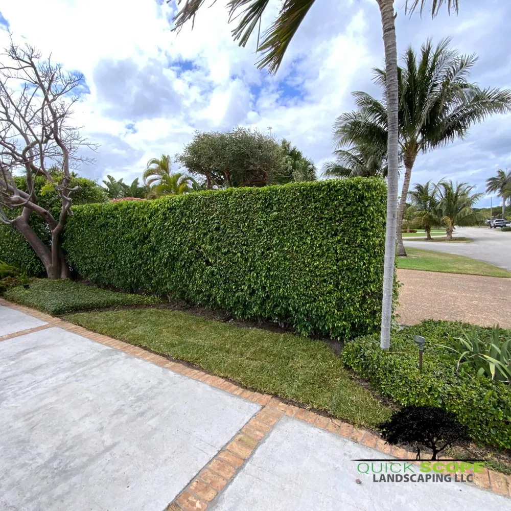 Expert residential landscaping in Pembroke Pines, FL - Quick Scope Landscaping