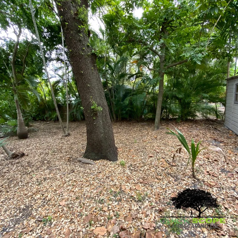 Affordable yard maintenance in Pembroke Pines, FL by Quick Scope Landscaping