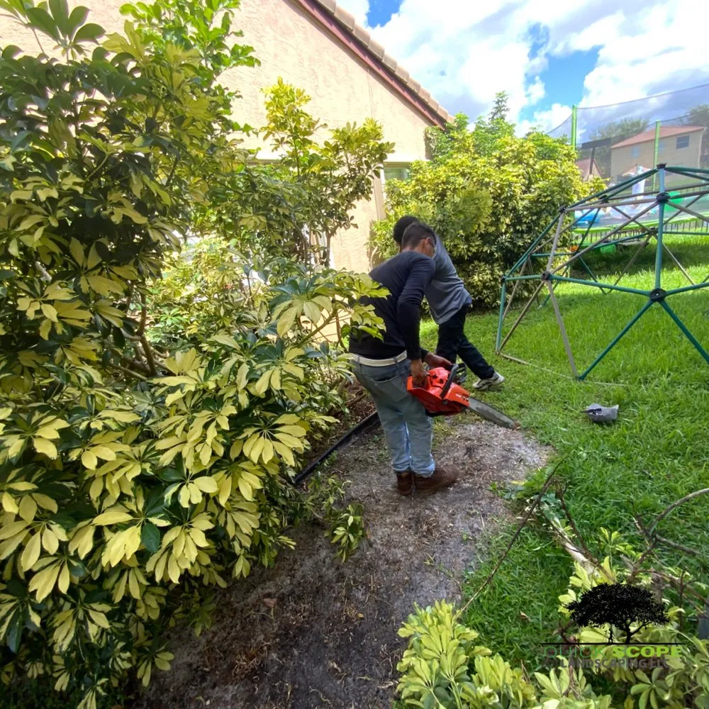 Affordable outdoor landscaping for homes in Pembroke Pines, FL by Quick Scope Landscaping