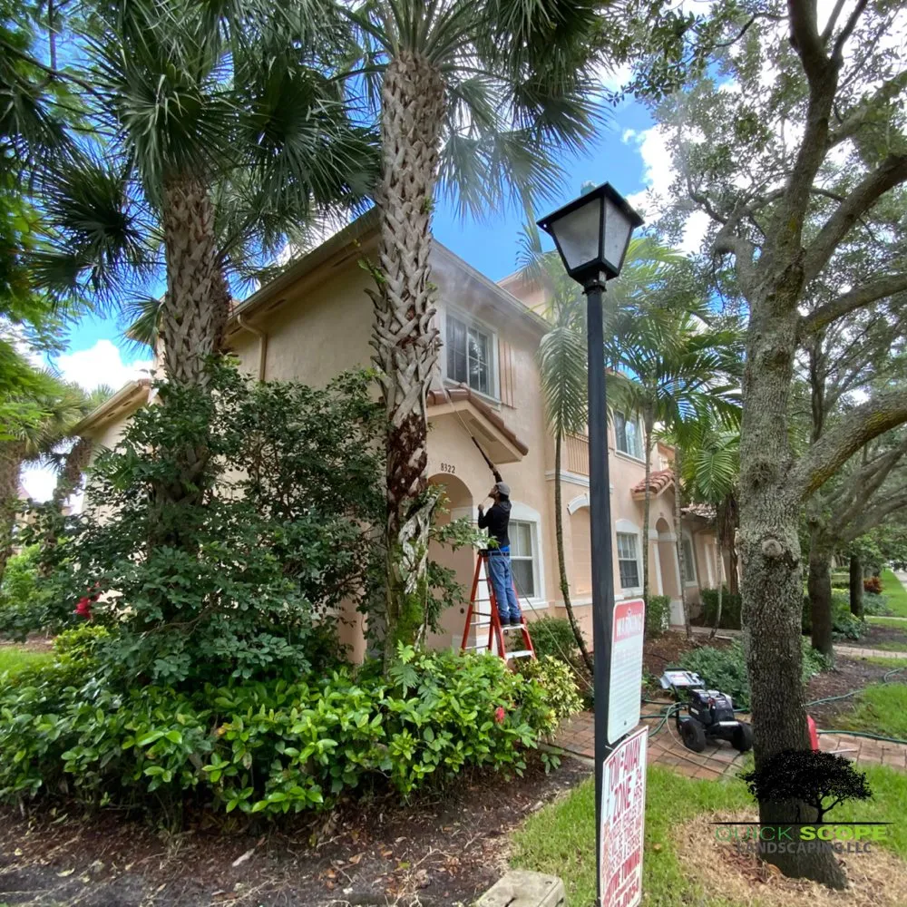 Professional outdoor landscaping near you across Pembroke Pines, FL - Quick Scope Landscaping