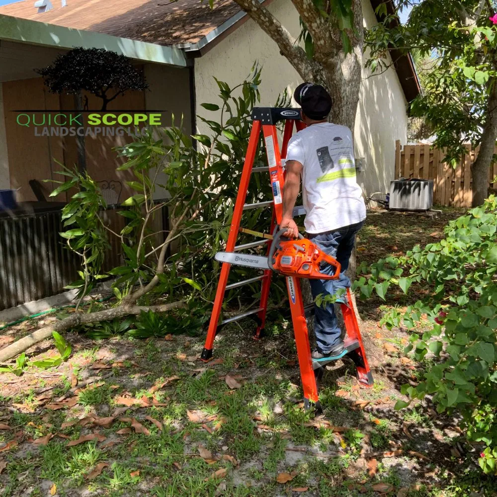 Local landscape installation for homes across Pembroke Pines, FL - Quick Scope Landscaping
