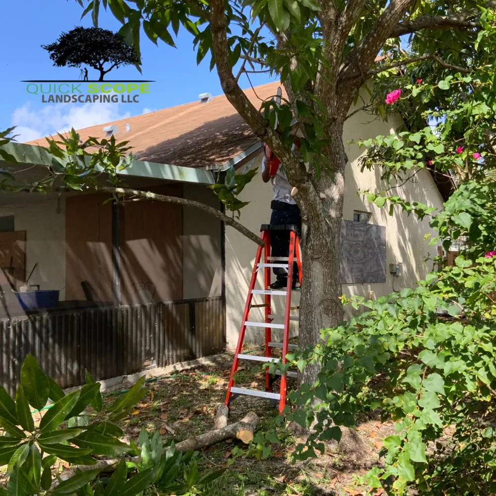 Custom landscaping services in Pembroke Pines, FL - Quick Scope Landscaping