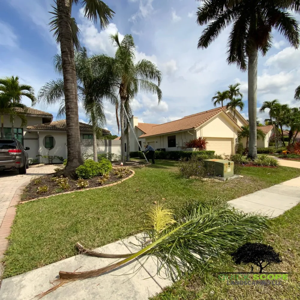 Local lawn mowing service experts serving Pembroke Pines, FL - Quick Scope Landscaping