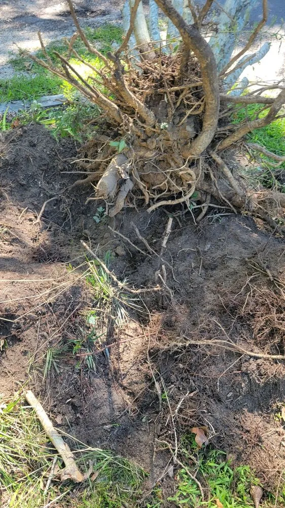 Local landscaping services for outdoor upgrades in Hampton Bays, NY by Quick Solution Property Care