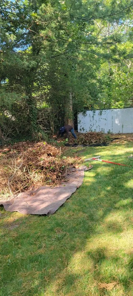 Local lawn care service near you across Hampton Bays, NY - Quick Solution Property Care