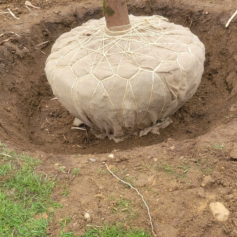 Reliable yard cleanup service for outdoor upgrades in Hampton Bays, NY by Quick Solution Property Care