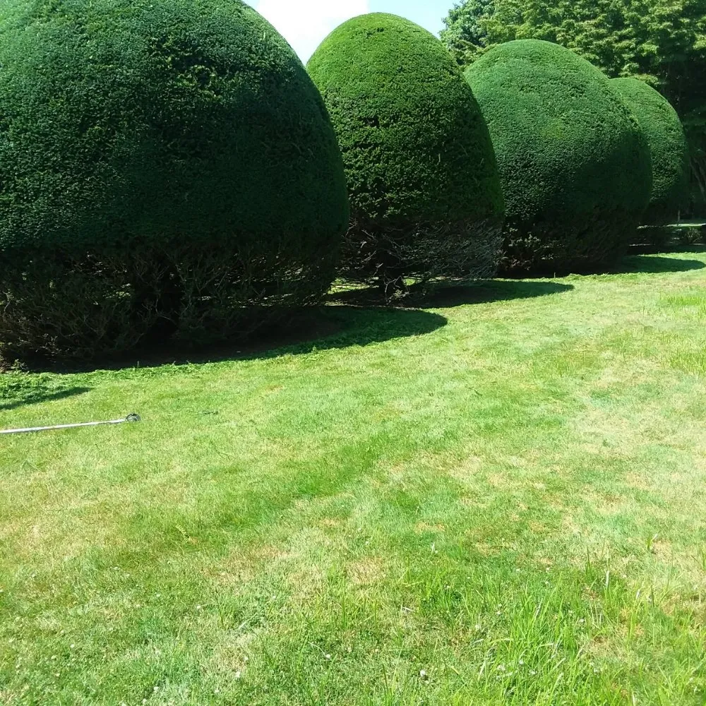 Local lawn mowing service for homes across Hampton Bays, NY - Quick Solution Property Care