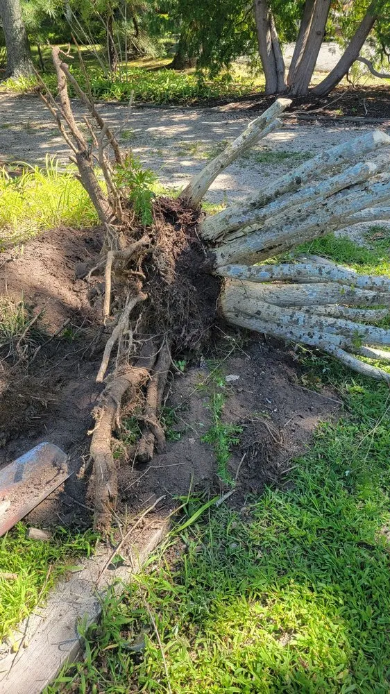 Top-rated yard maintenance in Hampton Bays, NY - Quick Solution Property Care