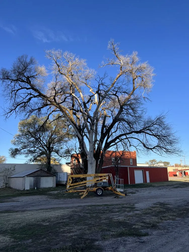 Local yard cleanup service in Anthony, KS - Quick Tree & Landscape