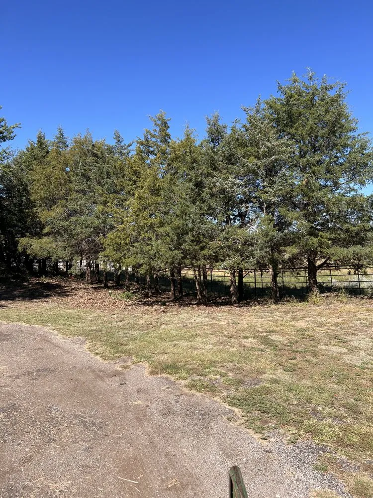 Trusted landscape design for year-round maintenance in Anthony, KS by Quick Tree & Landscape