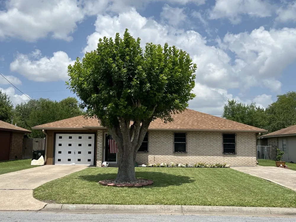 Professional yard cleanup service experts serving Harlingen, TX - Quick Trim Lawn Service