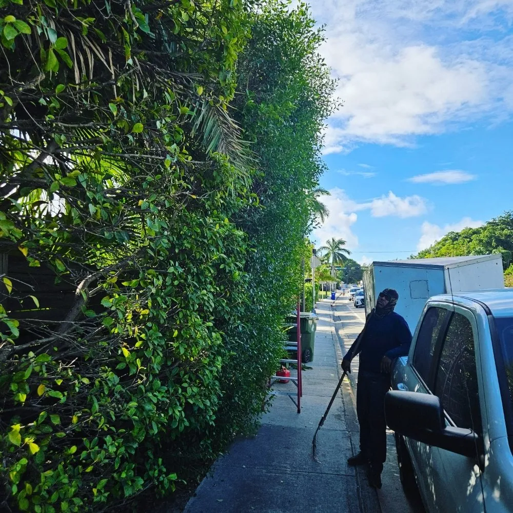 Top-rated residential landscaping in Lauderhill, FL by Quick Trimms Lawn Care