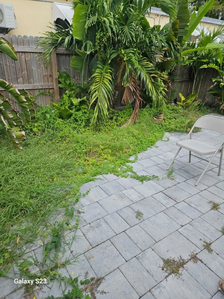 Custom yard maintenance in Lauderhill, FL by Quick Trimms Lawn Care