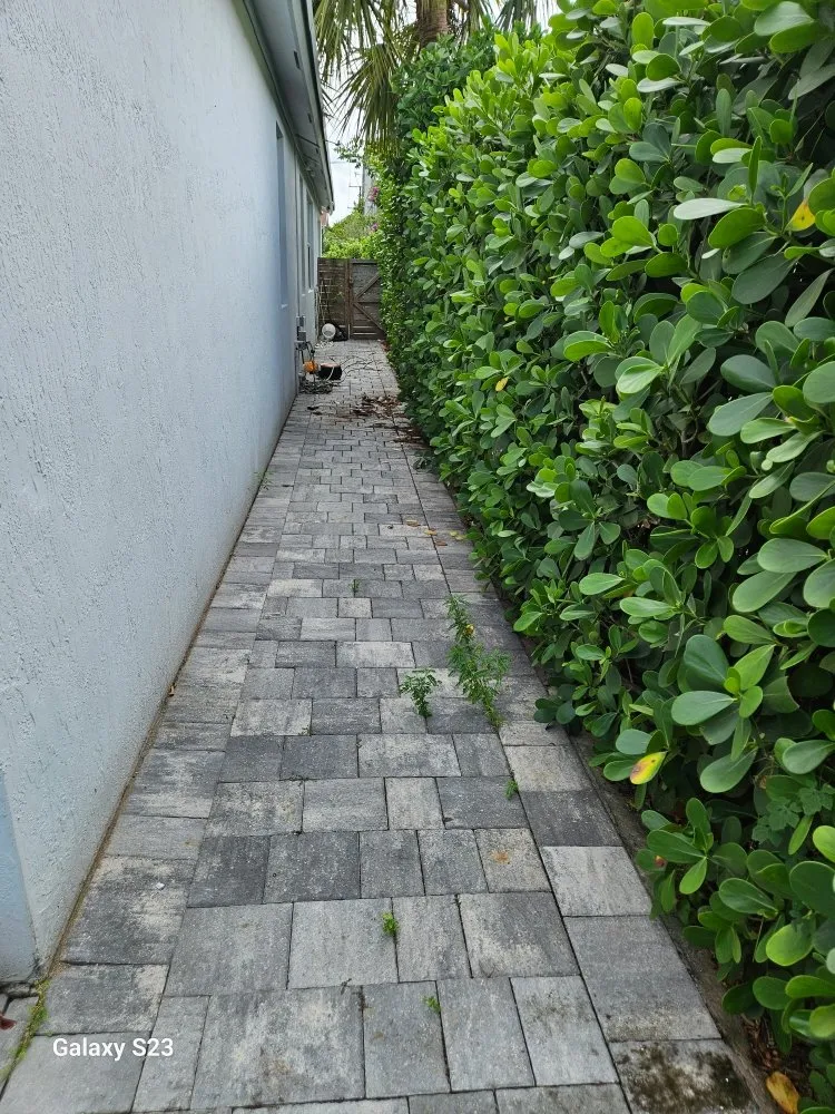 Affordable landscape design for residential properties across Lauderhill, FL - Quick Trimms Lawn Care