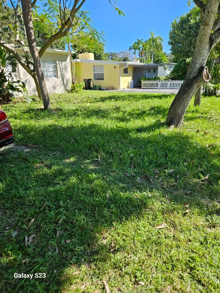 Professional landscape installation in Lauderhill, FL - Quick Trimms Lawn Care