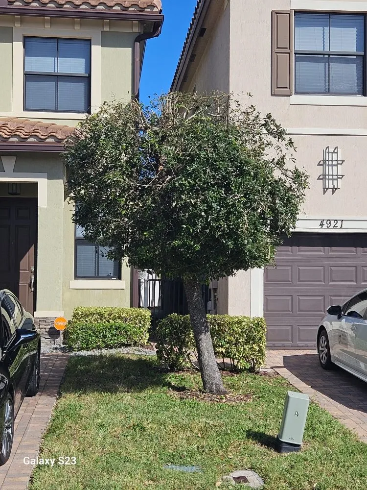 Affordable outdoor landscaping in Lauderhill, FL - Quick Trimms Lawn Care