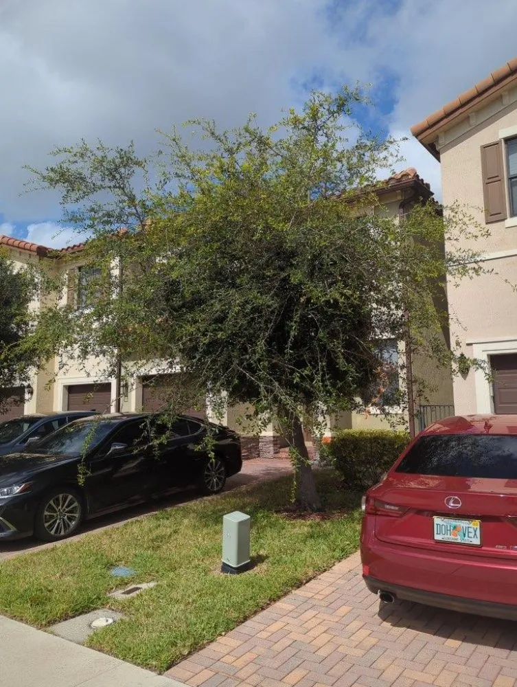 Custom landscape design for year-round maintenance in Lauderhill, FL by Quick Trimms Lawn Care