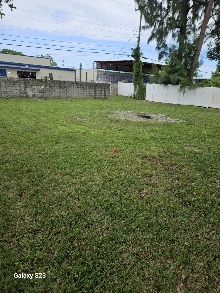 Top-rated landscape installation in Lauderhill, FL by Quick Trimms Lawn Care
