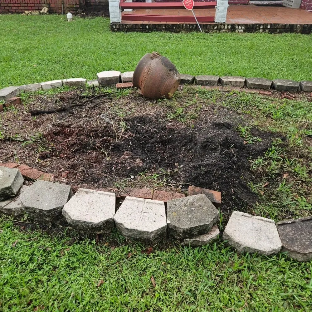 Affordable lawn care service in Lauderhill, FL by Quick Trimms Lawn Care