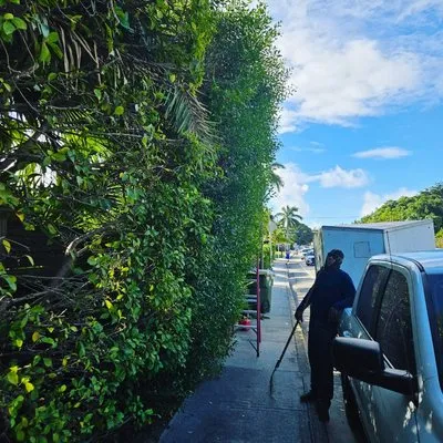 Quick Trimms Lawn Care