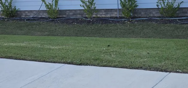 Quickcut Lawn Service Logo