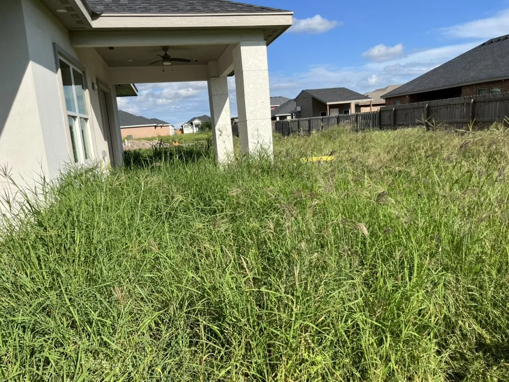 Trusted outdoor landscaping for residential properties across Brownsville, TX - QuickCuts Landscaping