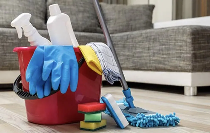 Professional landscape installation in Tallahassee, FL by Quickhands All Around