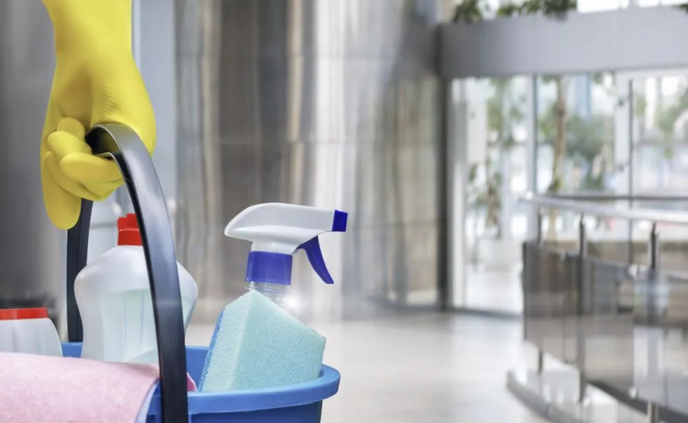 Professional yard cleanup service in Tallahassee, FL by Quickhands All Around