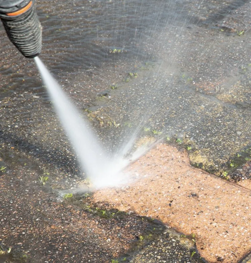 Expert residential landscaping for beautiful yards in Tallahassee, FL by Quickhands All Around