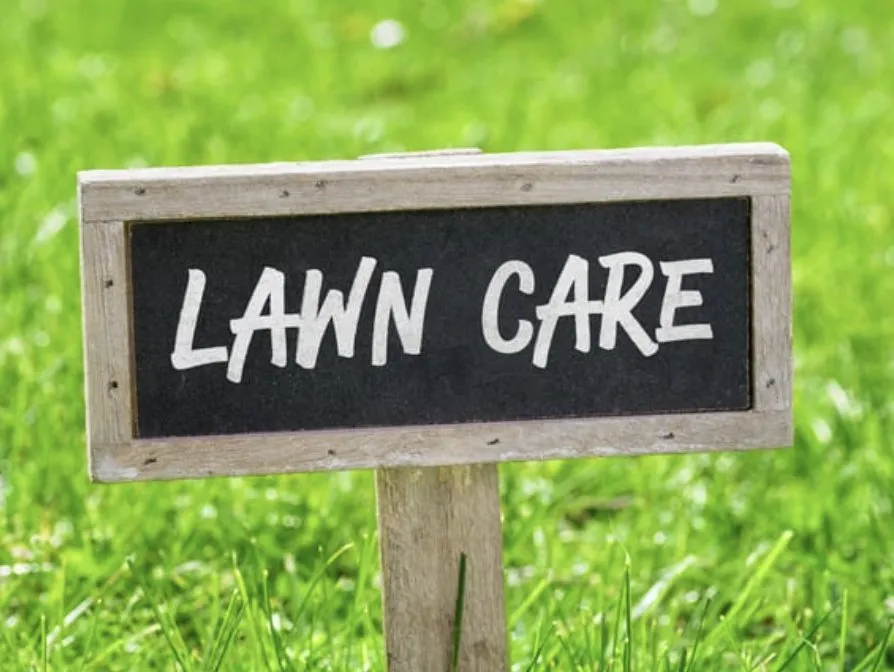 Expert lawn care service near you in Tallahassee, FL by Quickhands All Around