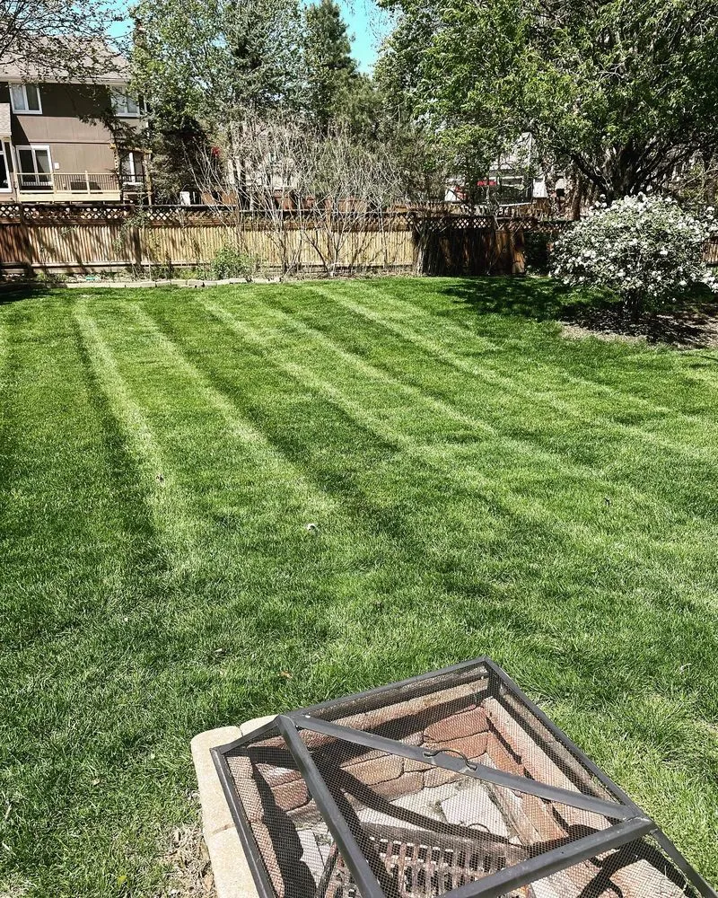 Top-rated lawn mowing service in Overland Park, KS - Quick's Lawn Maintenance