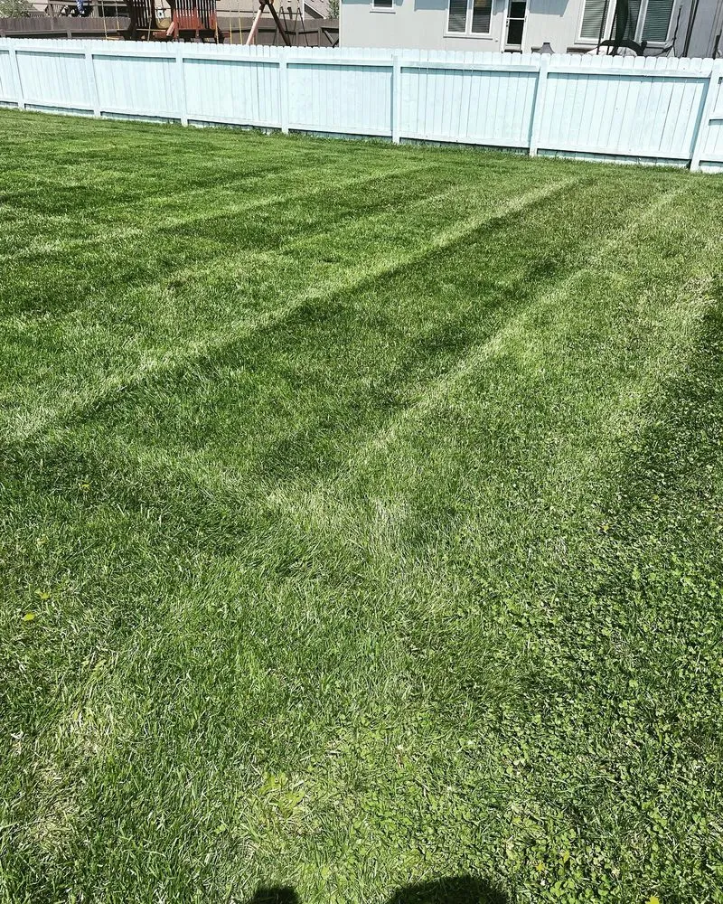 Trusted landscape installation for beautiful yards across Overland Park, KS - Quick's Lawn Maintenance
