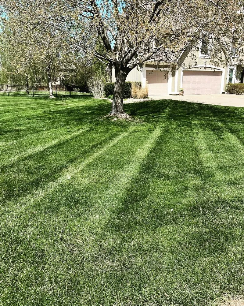 Top-rated landscape installation in Overland Park, KS by Quick's Lawn Maintenance