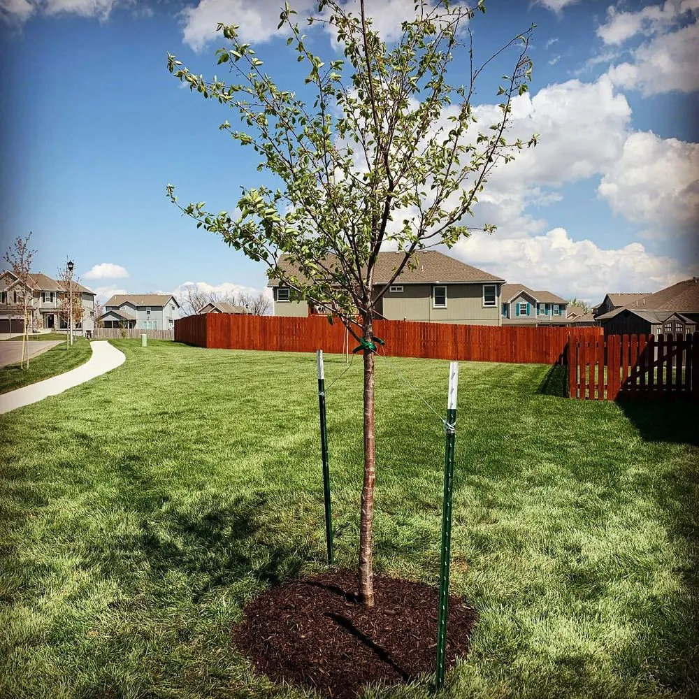 Top-rated outdoor landscaping near you across Overland Park, KS - Quick's Lawn Maintenance