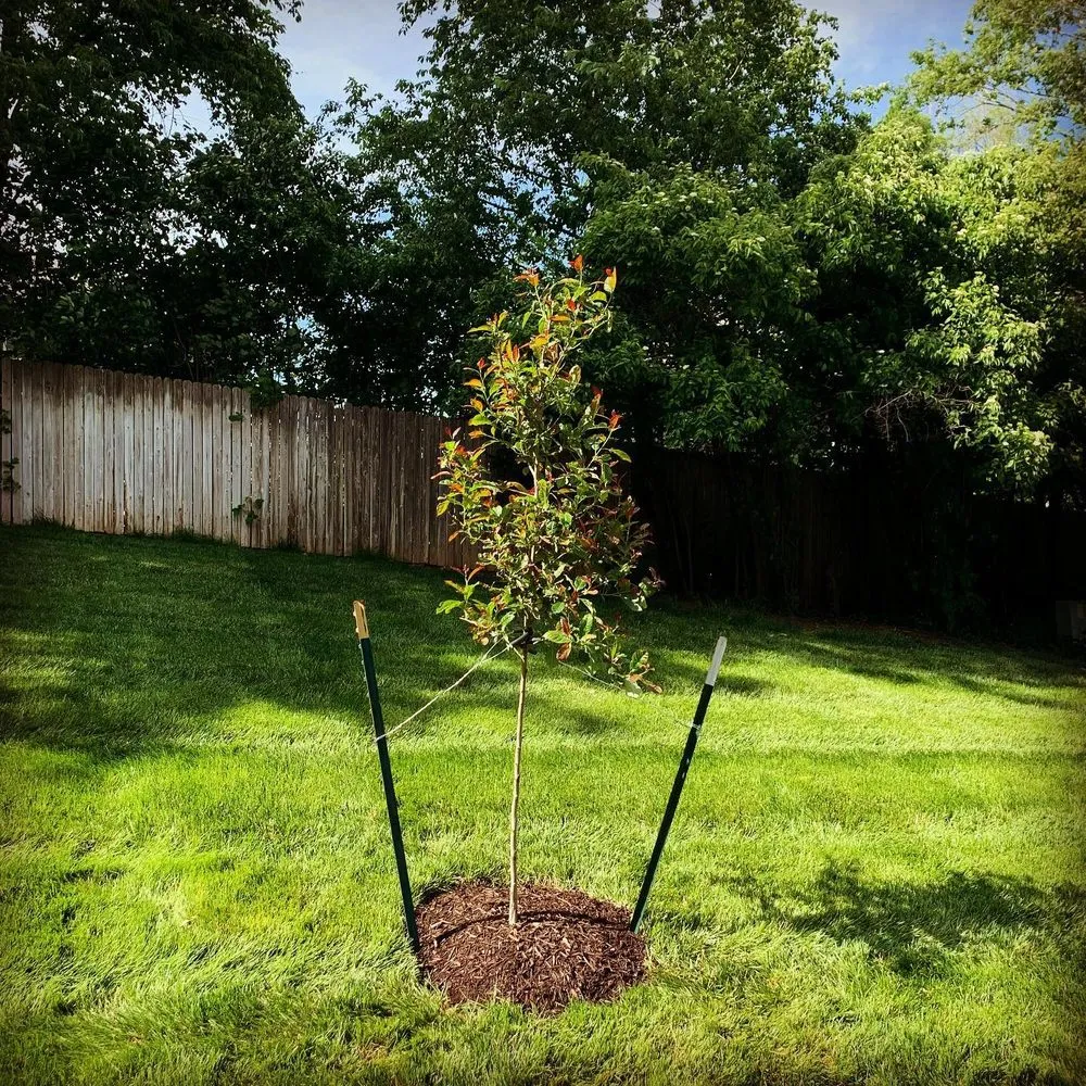 Local lawn mowing service in Overland Park, KS by Quick's Lawn Maintenance