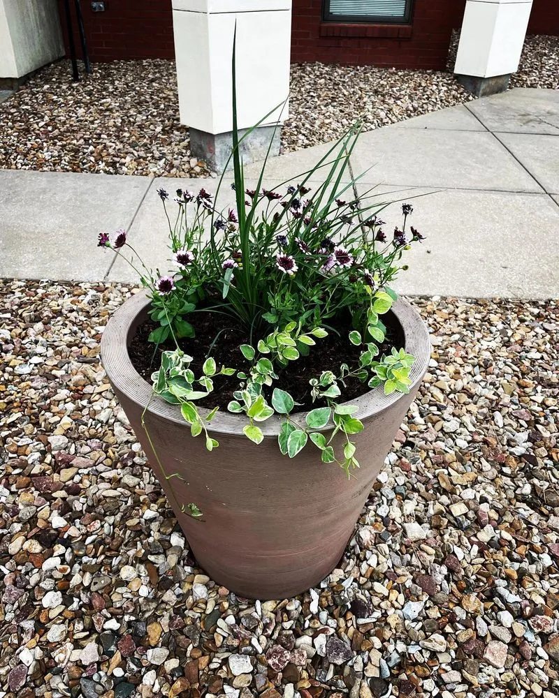 Expert outdoor landscaping in Overland Park, KS by Quick's Lawn Maintenance